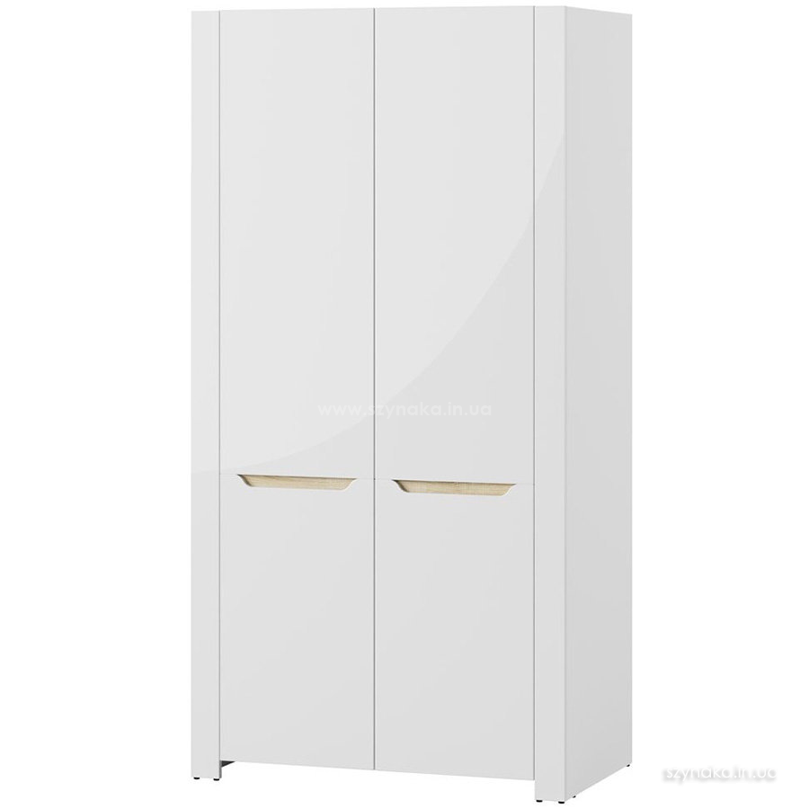 Шкаф 2д ICE 05 Шкаф 2д ICE 05