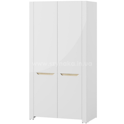 Шкаф 2д ICE 05 Шкаф 2д ICE 05